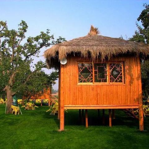 兰州草坪租赁服务,打造绿色活动空间的新伙伴