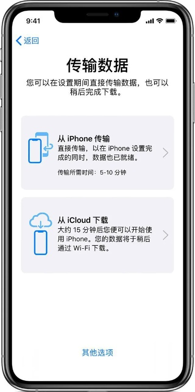 iphone下载旧版本软件,持久设计方案策略_PalmOS1_v2.863