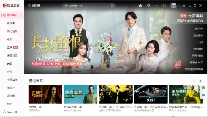 搜狐视频 版本及快用官方下载电脑版,最新方案解答|GM版_v8.747